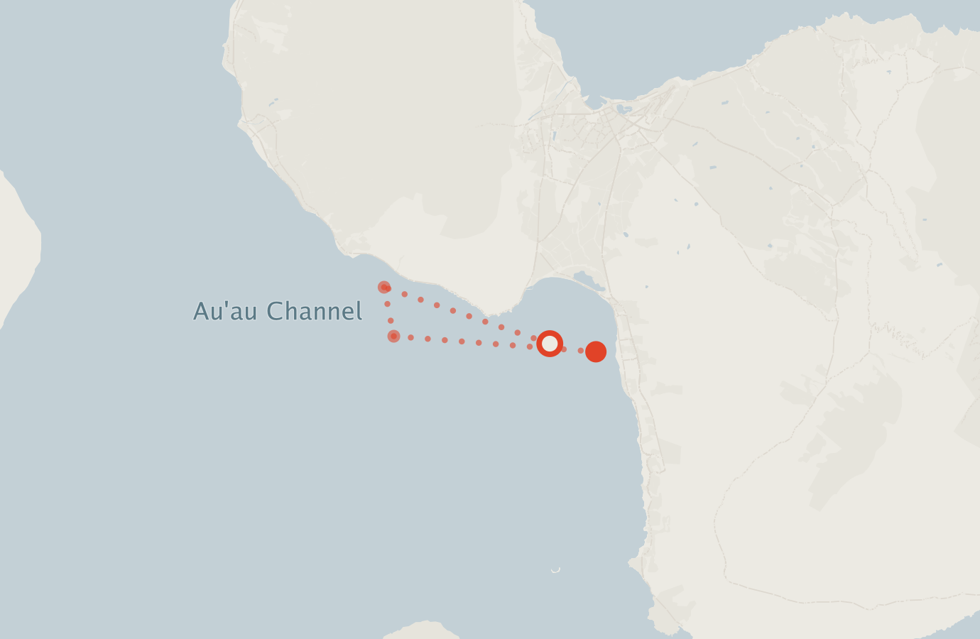 Activity map — real sighting points on an OpenStreetMap basemap