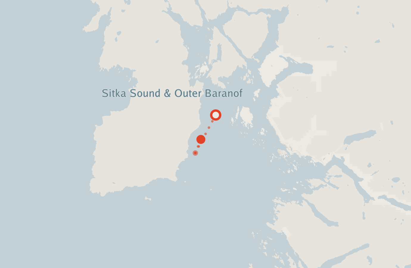 Activity map — real sighting points on an OpenStreetMap basemap
