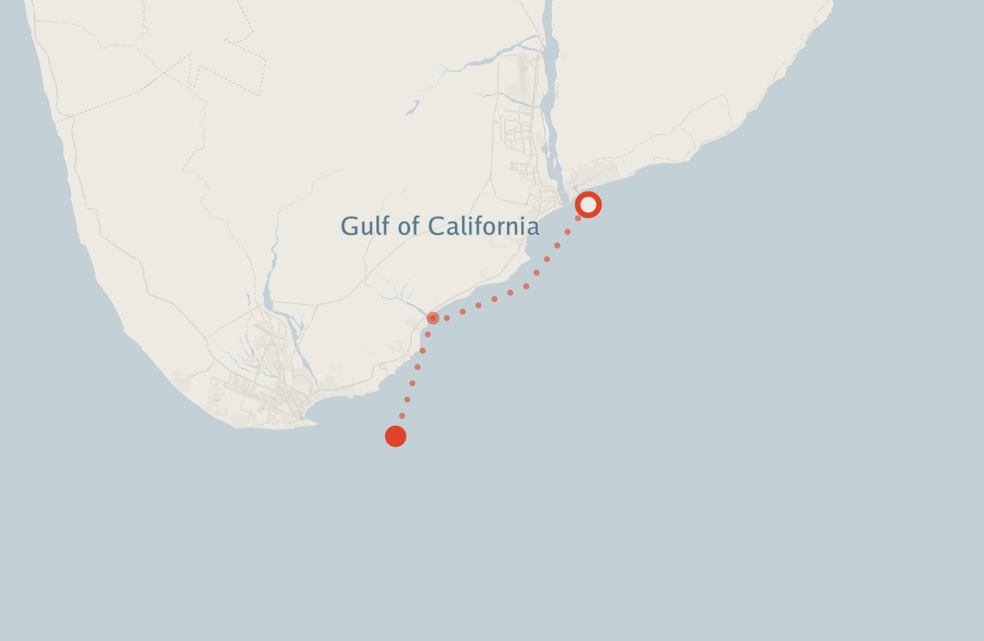 Activity map — real sighting points on an OpenStreetMap basemap