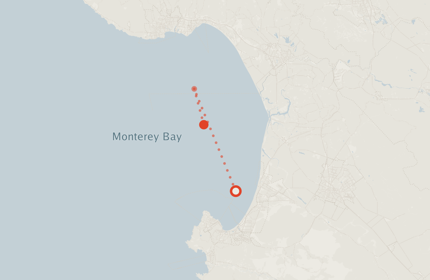 Activity map — real sighting points on an OpenStreetMap basemap