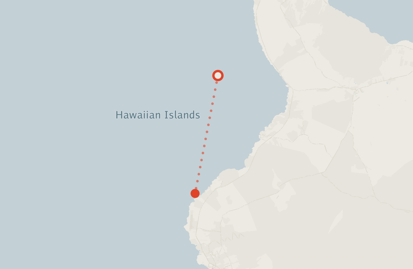 Activity map — real sighting points on an OpenStreetMap basemap
