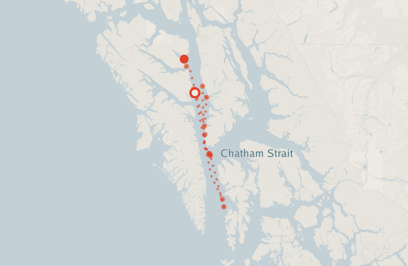 Activity map — real sighting points on an OpenStreetMap basemap