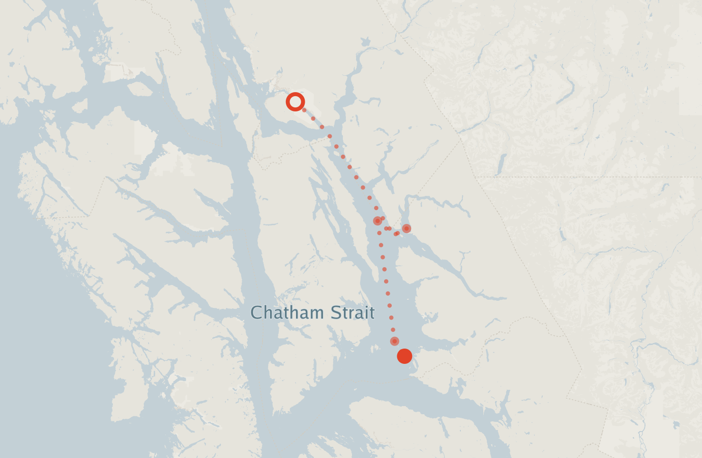 Activity map — real sighting points on an OpenStreetMap basemap