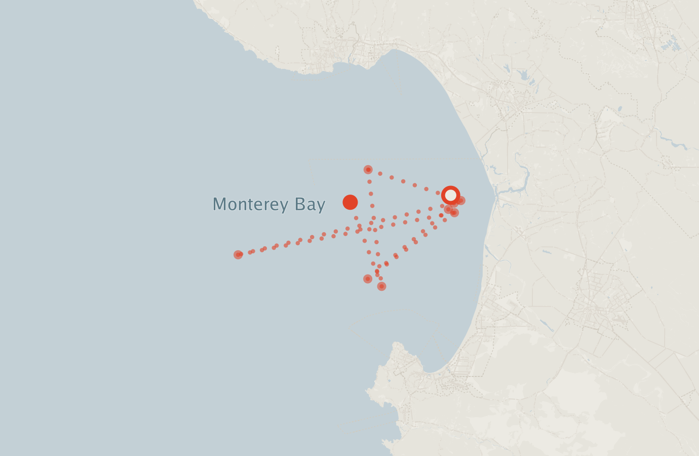 Activity map — real sighting points on an OpenStreetMap basemap