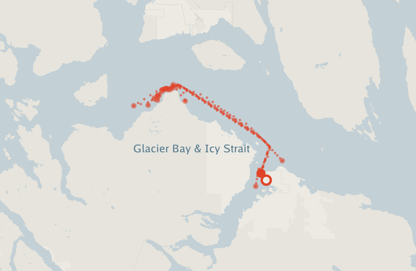 Activity map — real sighting points on an OpenStreetMap basemap