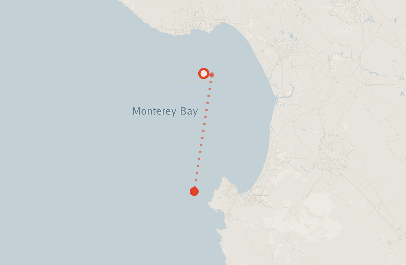 Activity map — real sighting points on an OpenStreetMap basemap