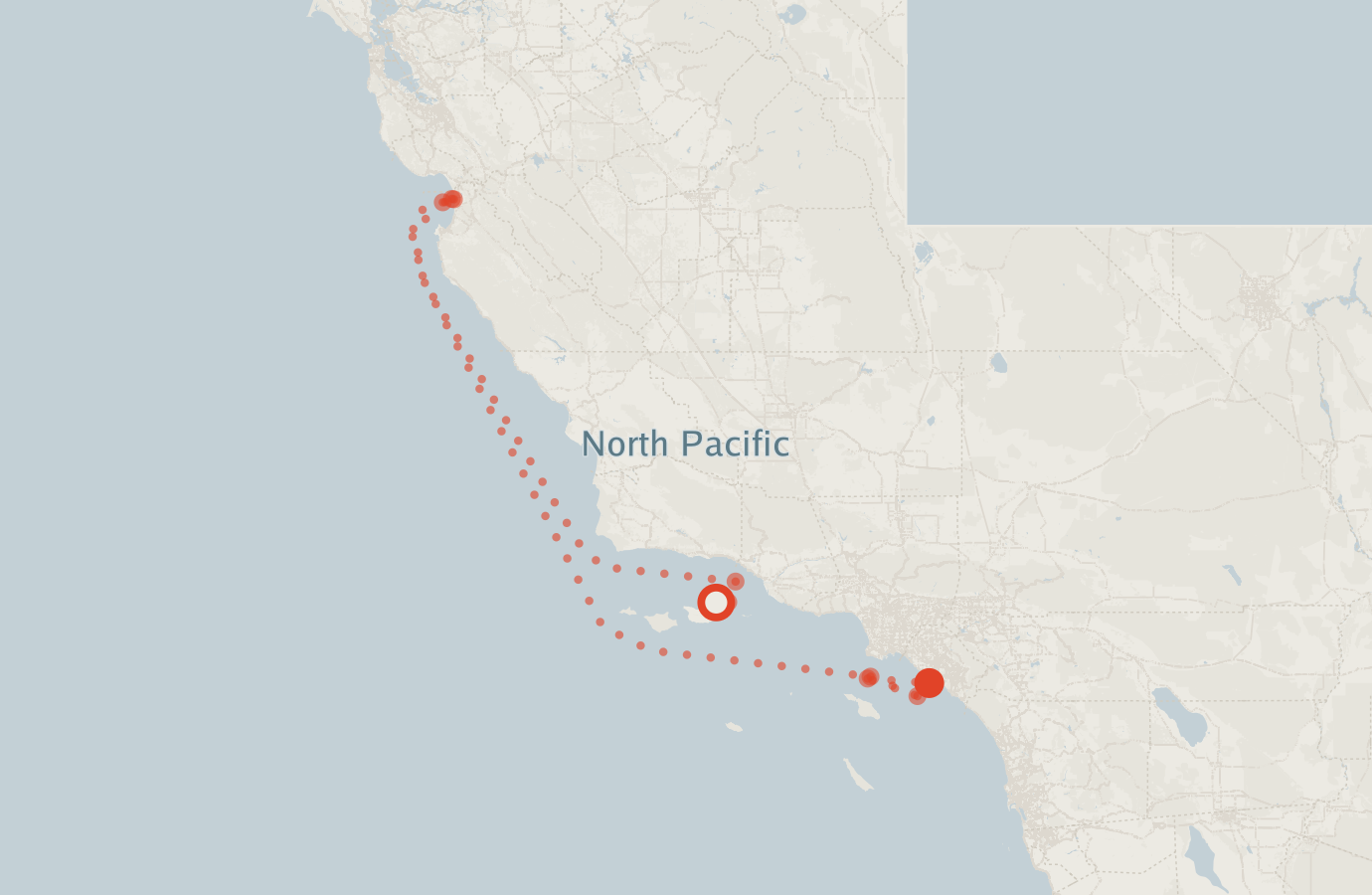 Activity map — real sighting points on an OpenStreetMap basemap
