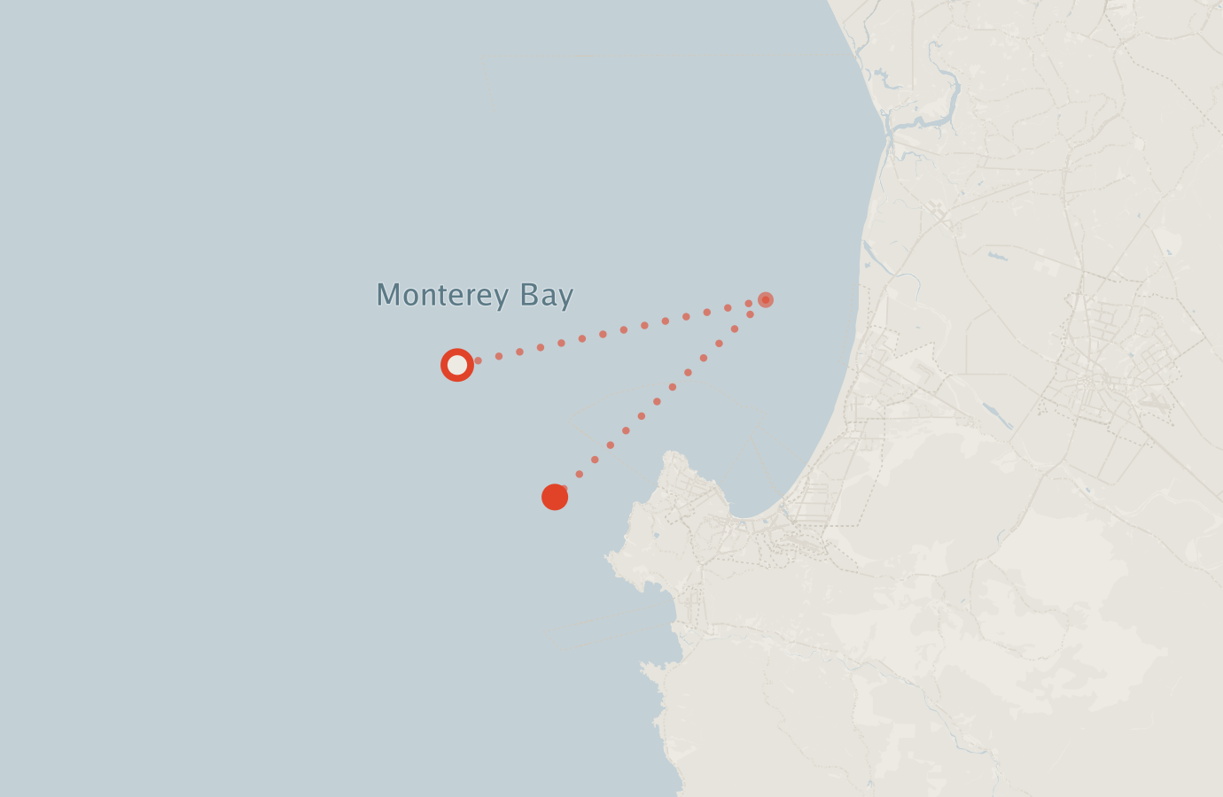 Activity map — real sighting points on an OpenStreetMap basemap