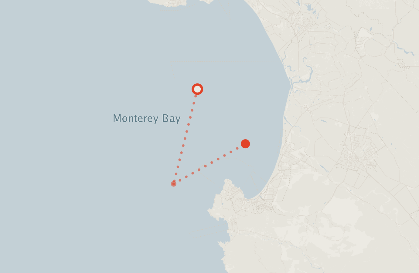 Activity map — real sighting points on an OpenStreetMap basemap