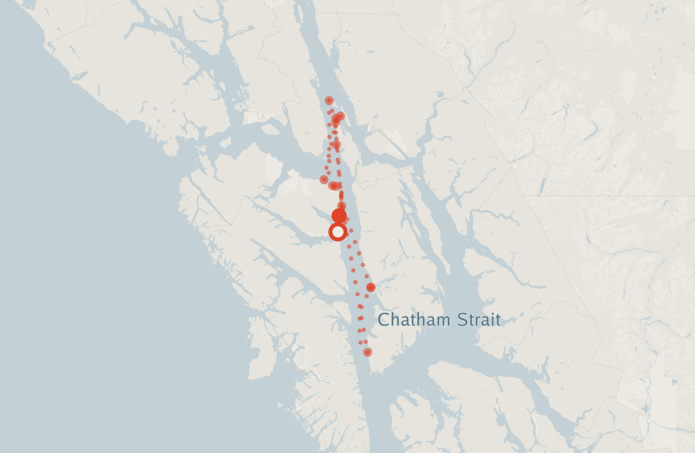 Activity map — real sighting points on an OpenStreetMap basemap
