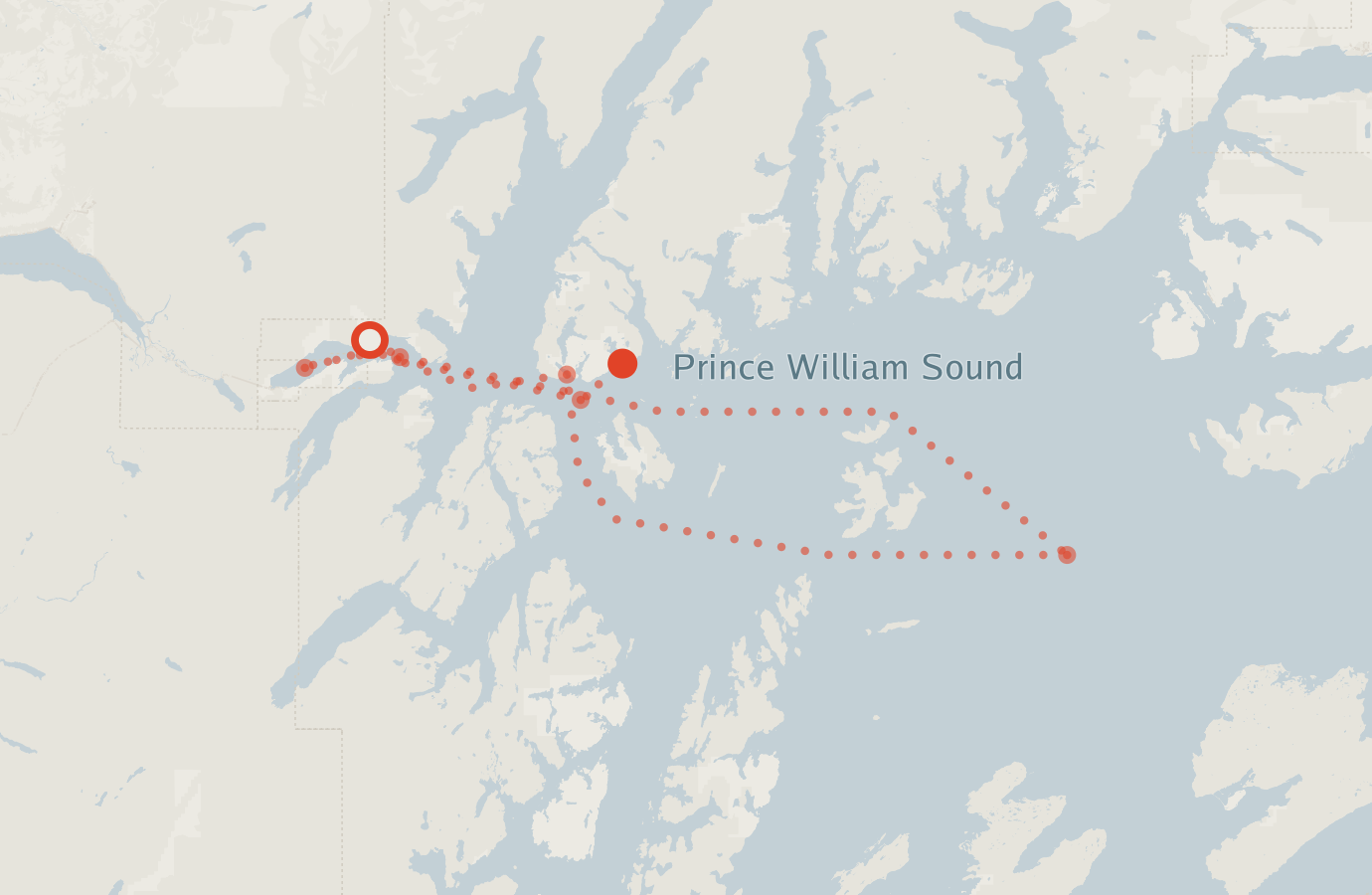 Activity map — real sighting points on an OpenStreetMap basemap