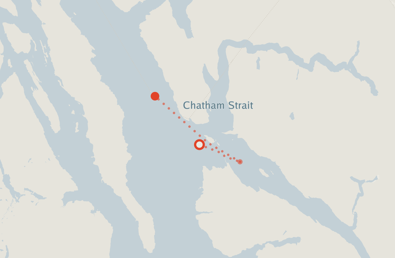 Activity map — real sighting points on an OpenStreetMap basemap