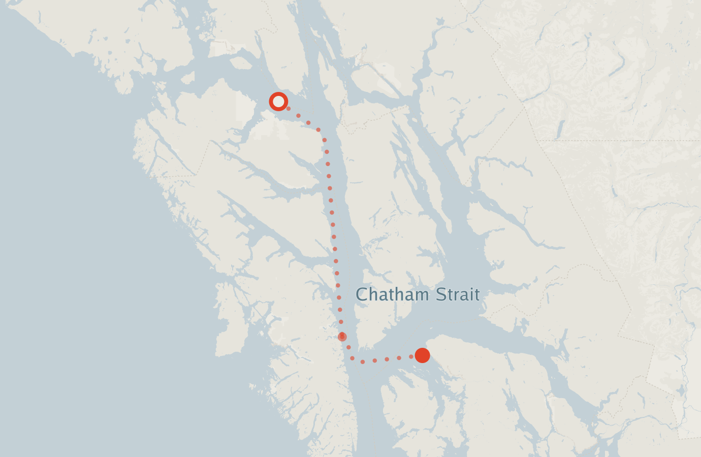 Activity map — real sighting points on an OpenStreetMap basemap