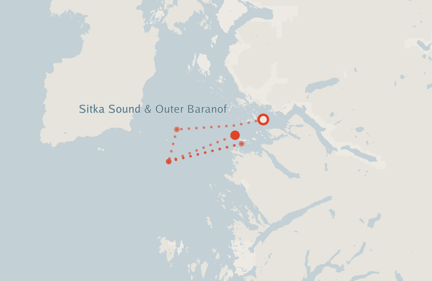 Activity map — real sighting points on an OpenStreetMap basemap