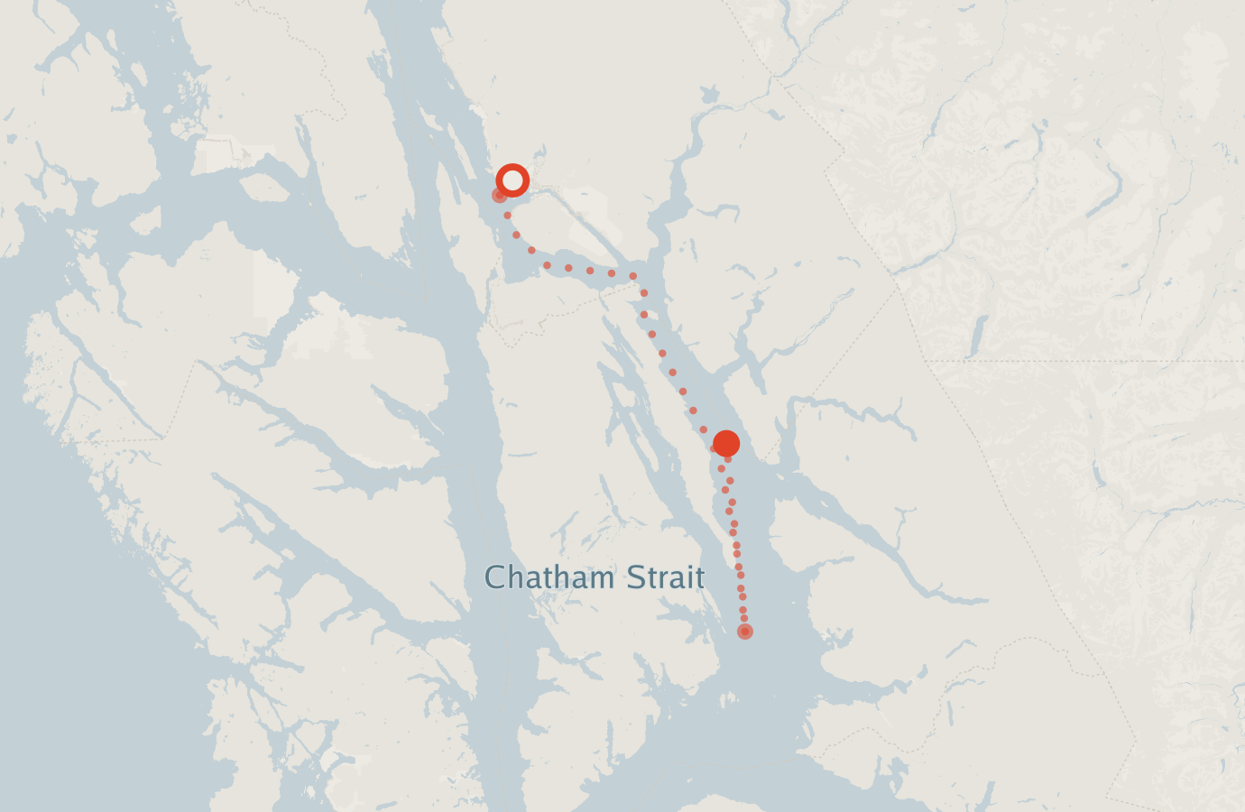 Activity map — real sighting points on an OpenStreetMap basemap