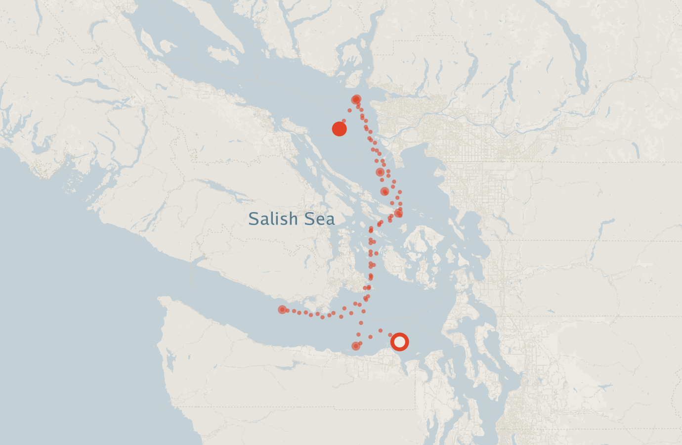 Activity map — real sighting points on an OpenStreetMap basemap