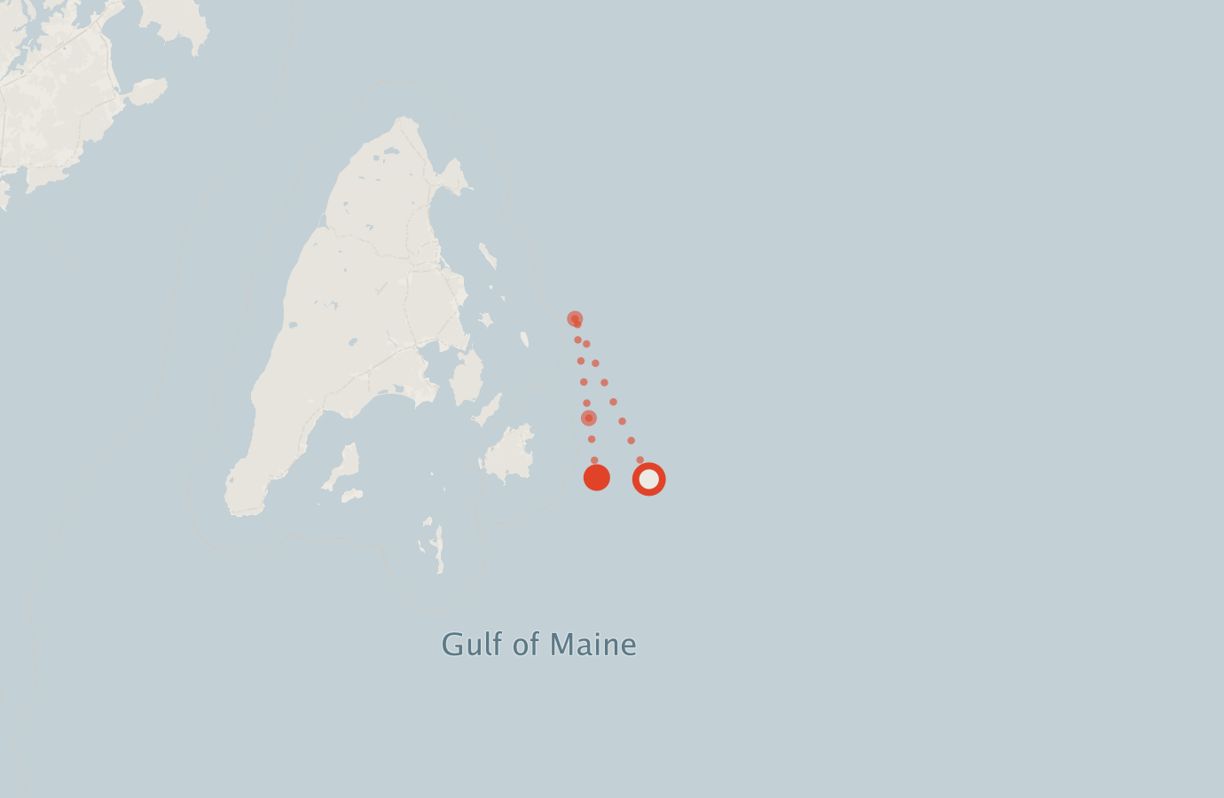 Activity map — real sighting points on an OpenStreetMap basemap