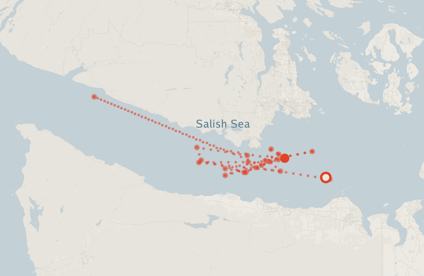 Activity map — real sighting points on an OpenStreetMap basemap