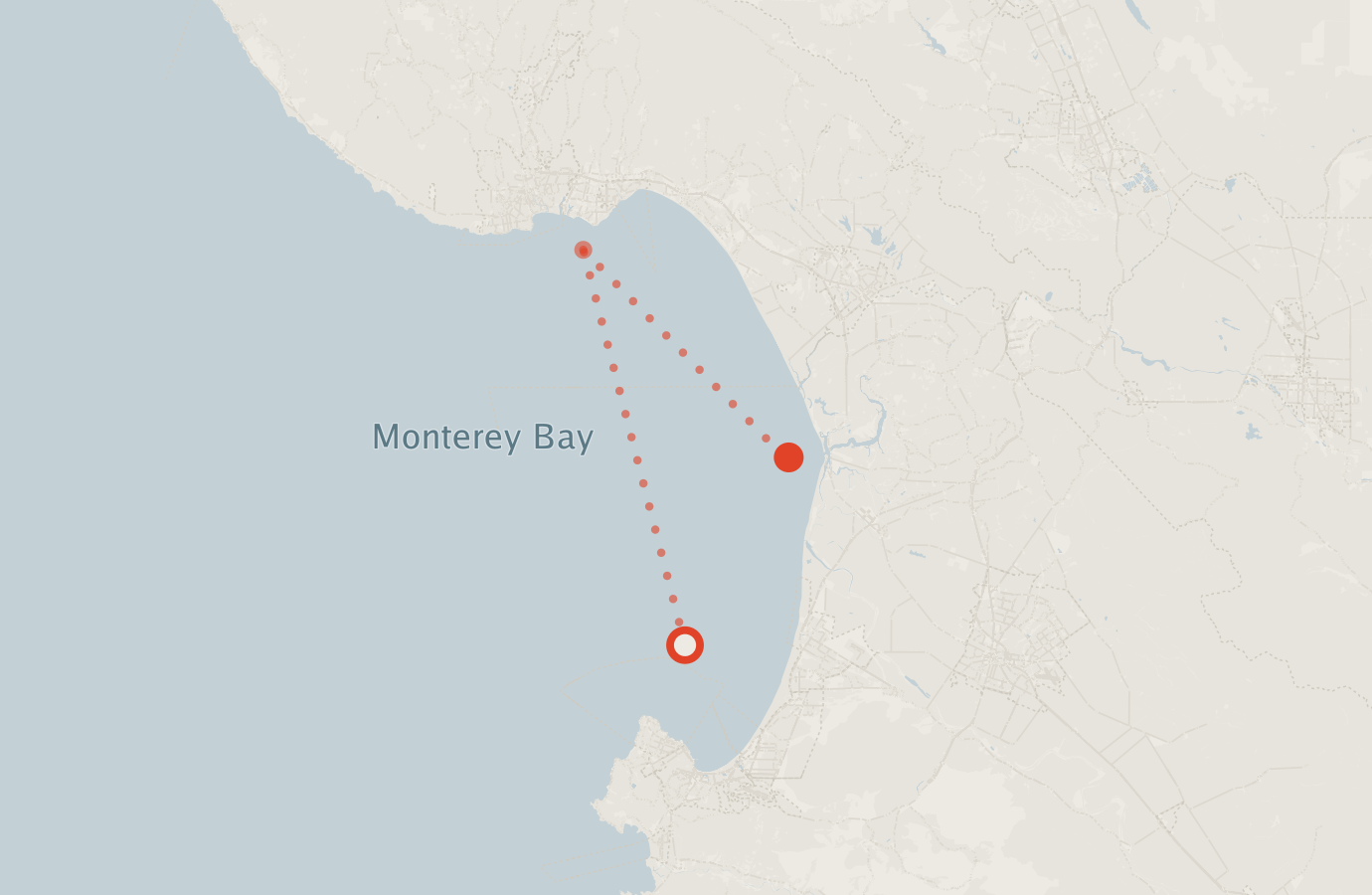 Activity map — real sighting points on an OpenStreetMap basemap