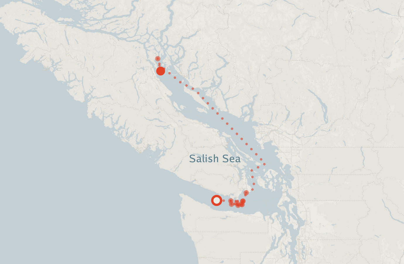 Activity map — real sighting points on an OpenStreetMap basemap