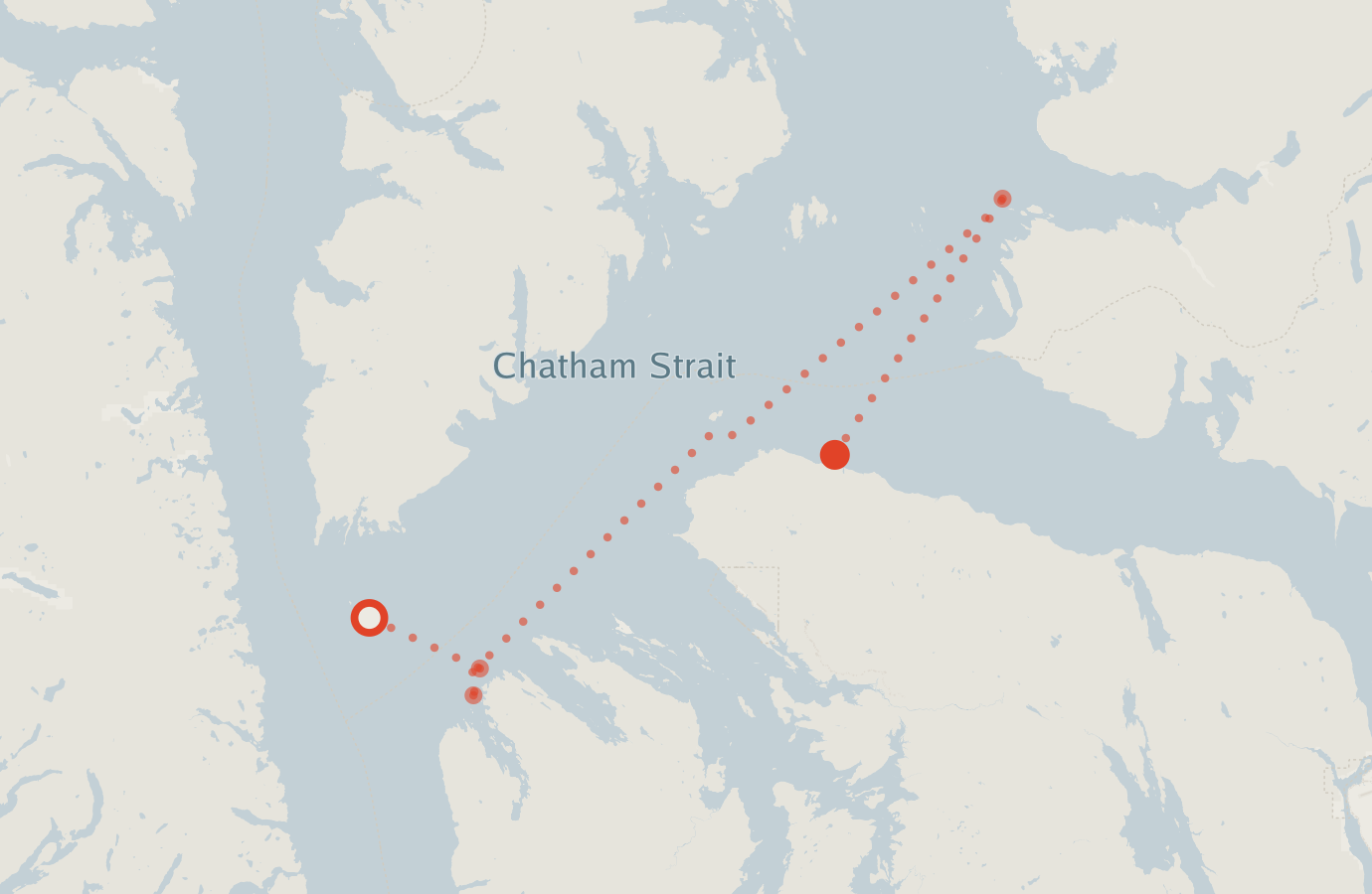 Activity map — real sighting points on an OpenStreetMap basemap