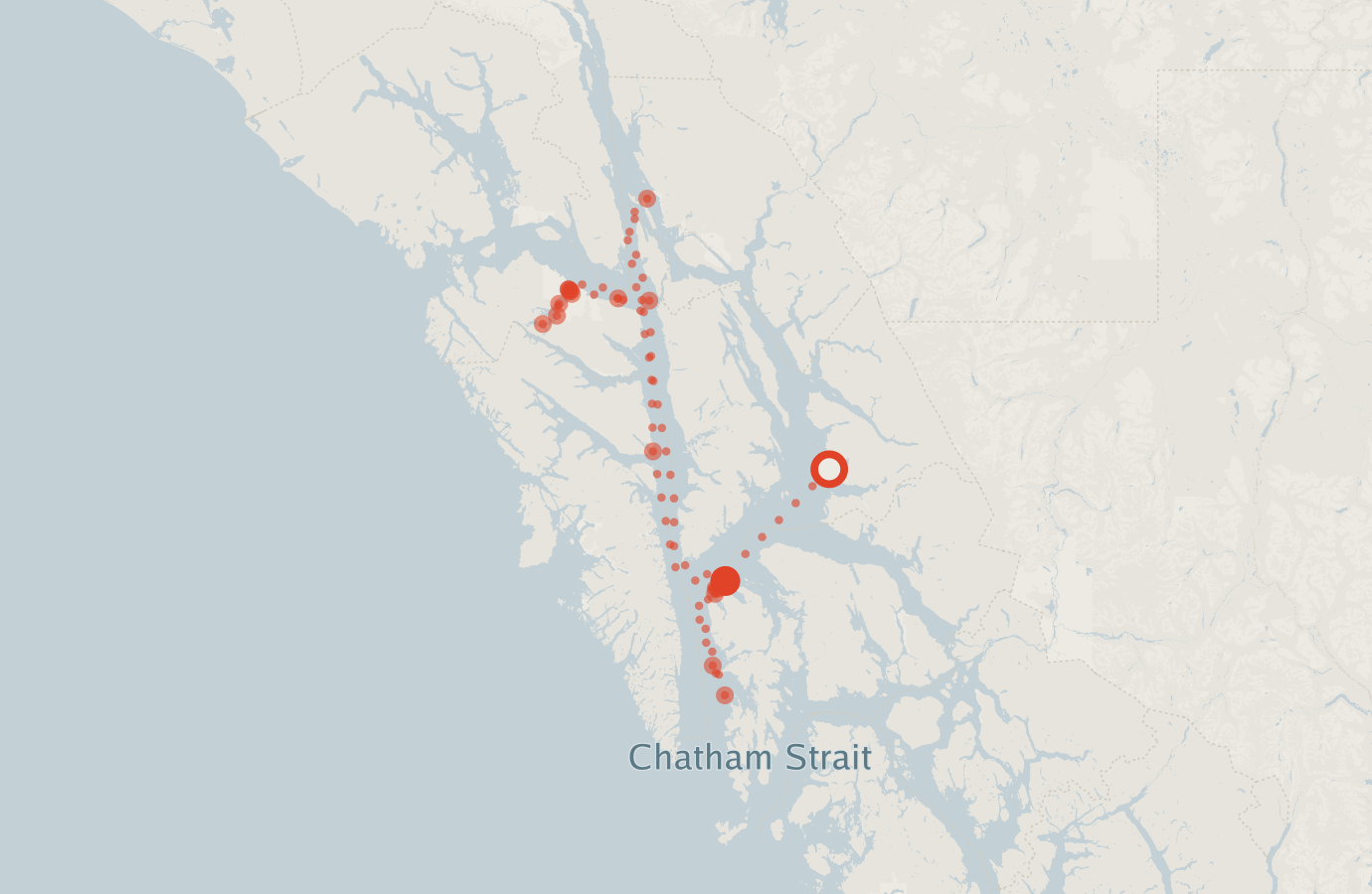 Activity map — real sighting points on an OpenStreetMap basemap