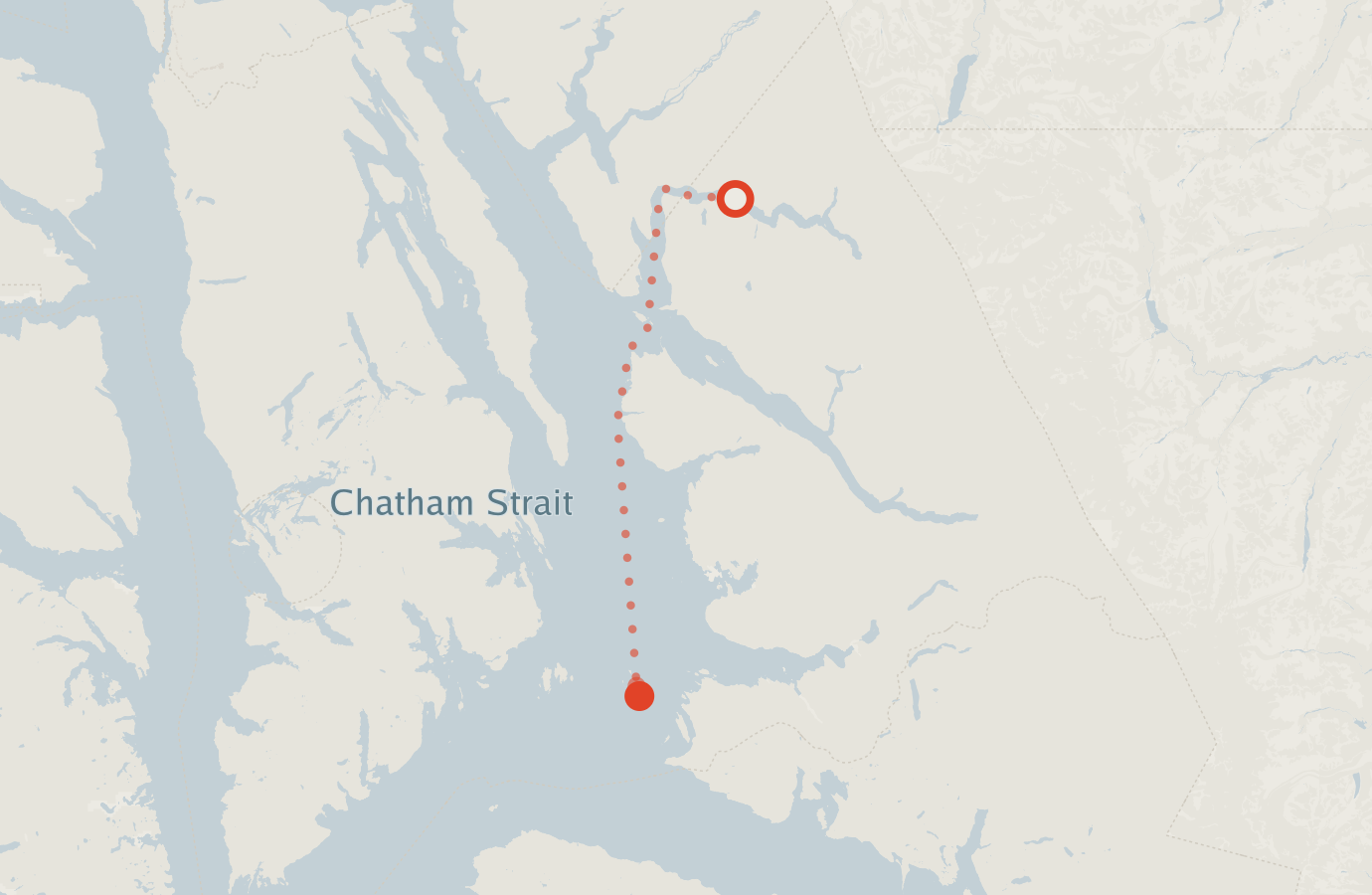 Activity map — real sighting points on an OpenStreetMap basemap