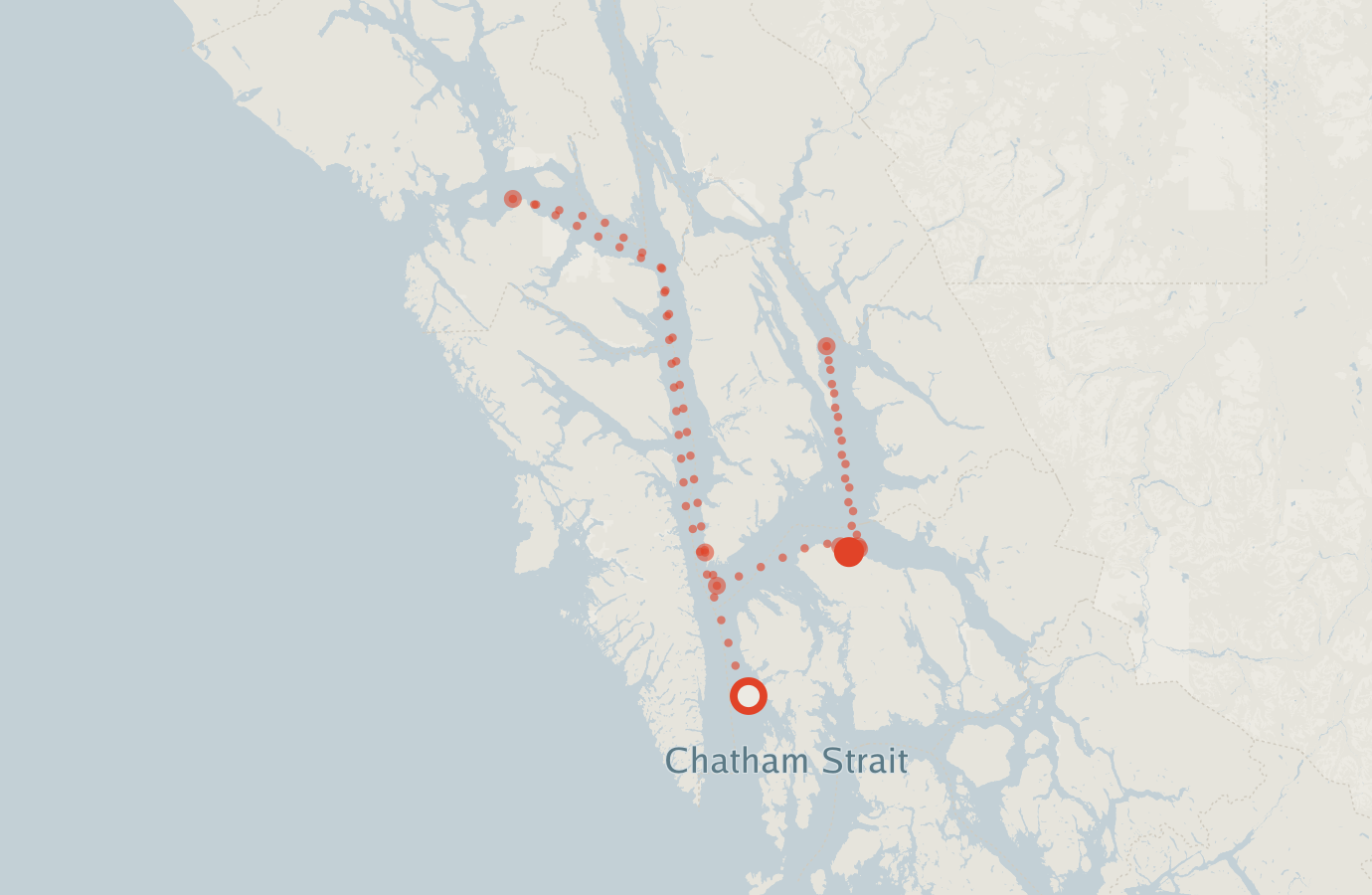 Activity map — real sighting points on an OpenStreetMap basemap