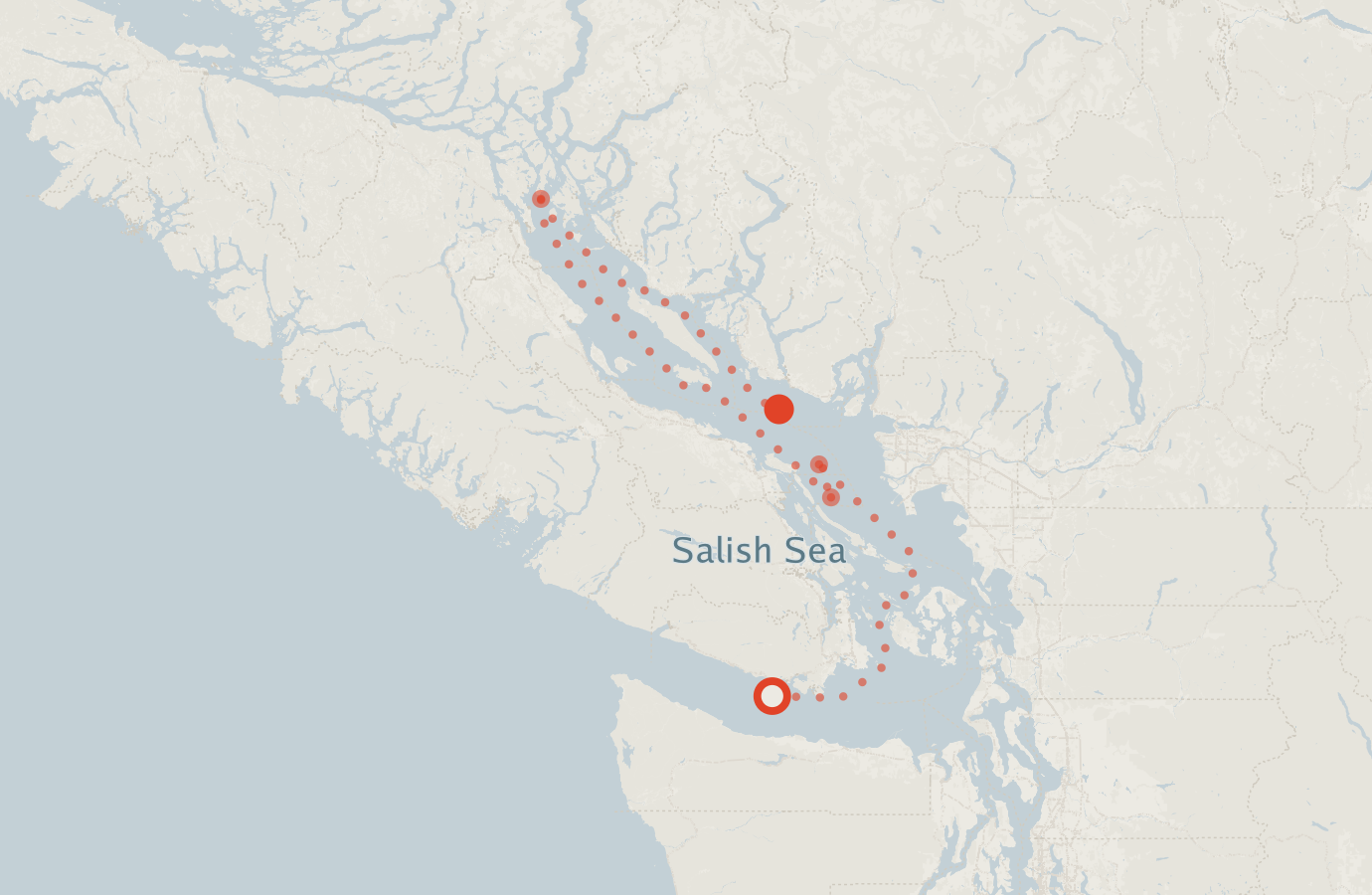 Activity map — real sighting points on an OpenStreetMap basemap
