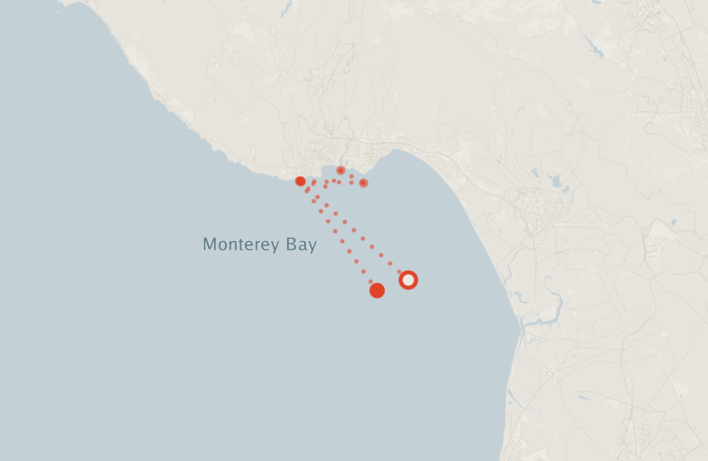 Activity map — real sighting points on an OpenStreetMap basemap