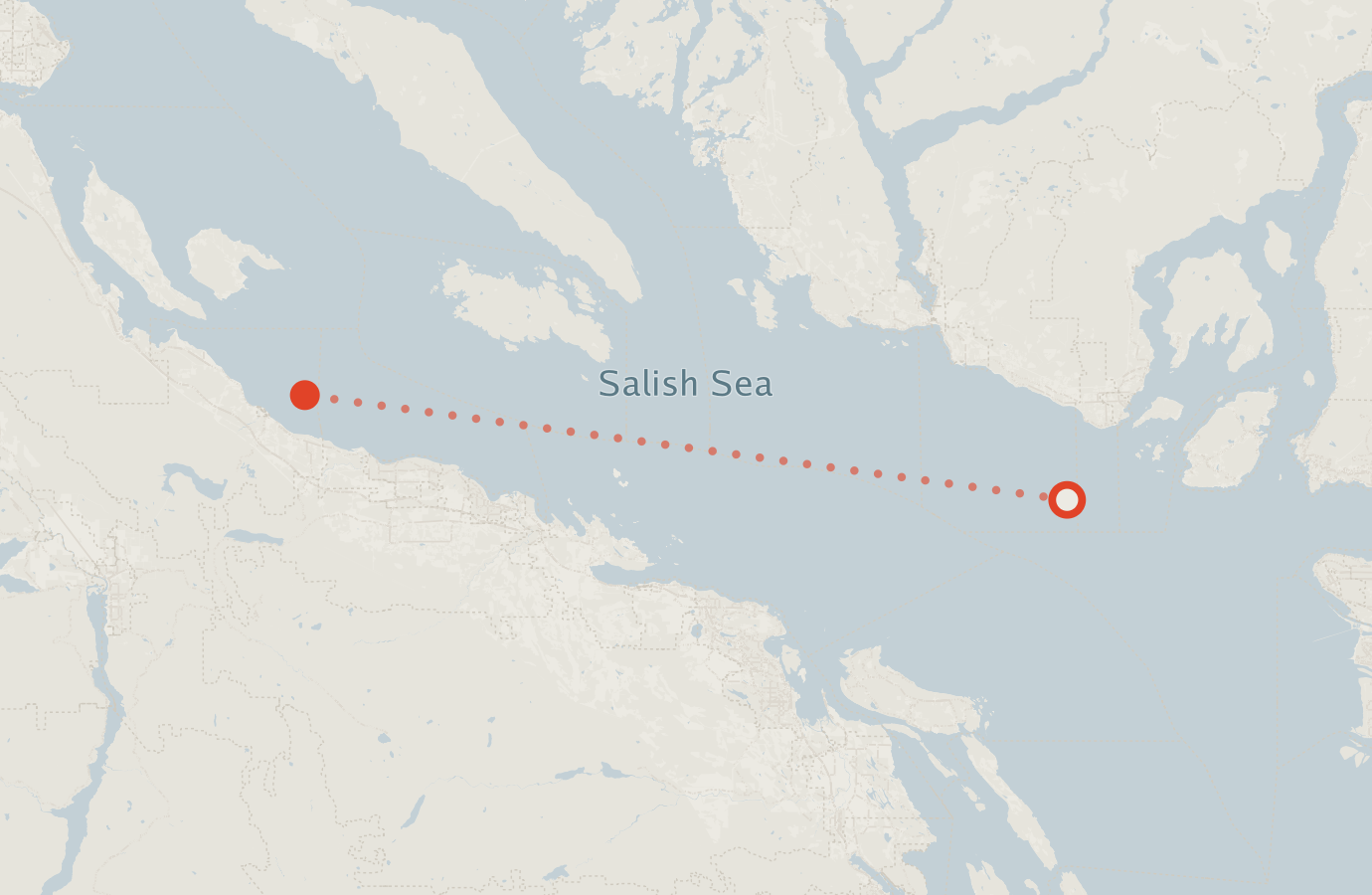 Activity map — real sighting points on an OpenStreetMap basemap