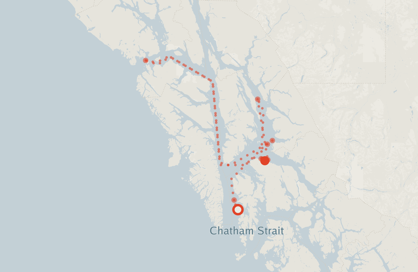 Activity map — real sighting points on an OpenStreetMap basemap