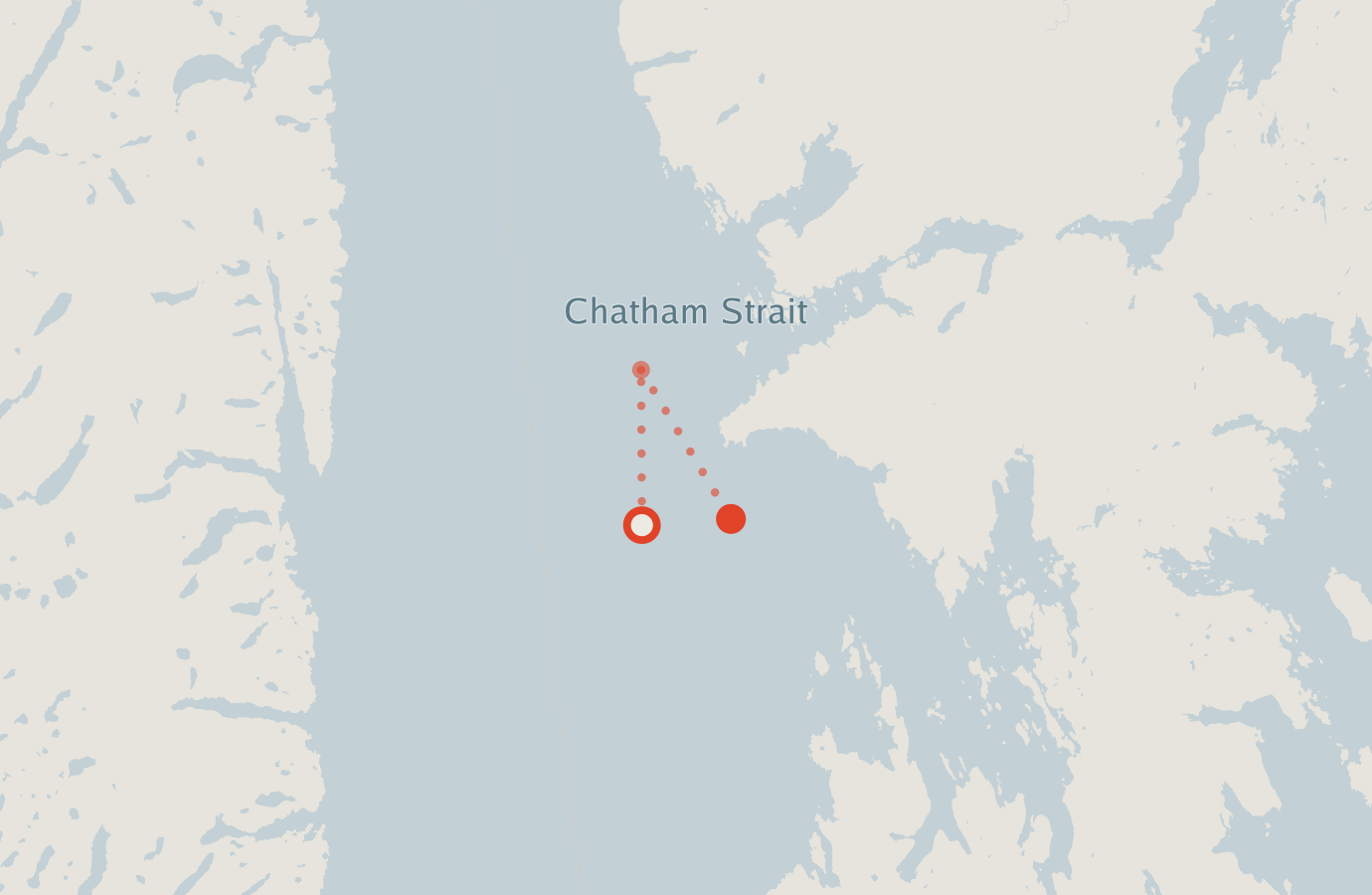 Activity map — real sighting points on an OpenStreetMap basemap
