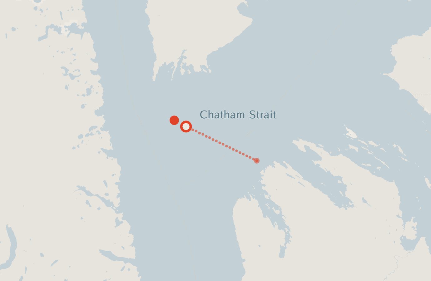 Activity map — real sighting points on an OpenStreetMap basemap