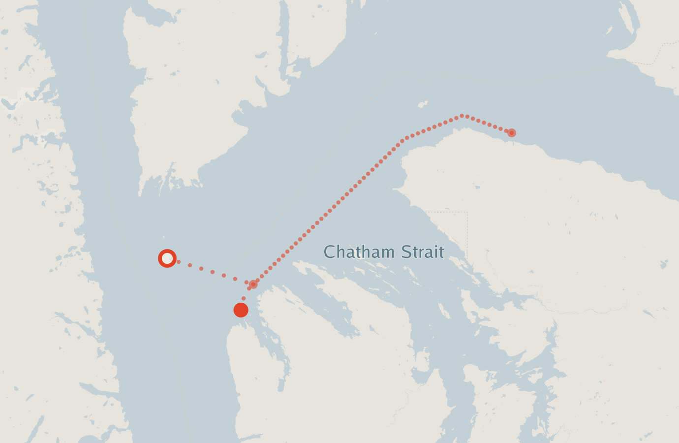 Activity map — real sighting points on an OpenStreetMap basemap