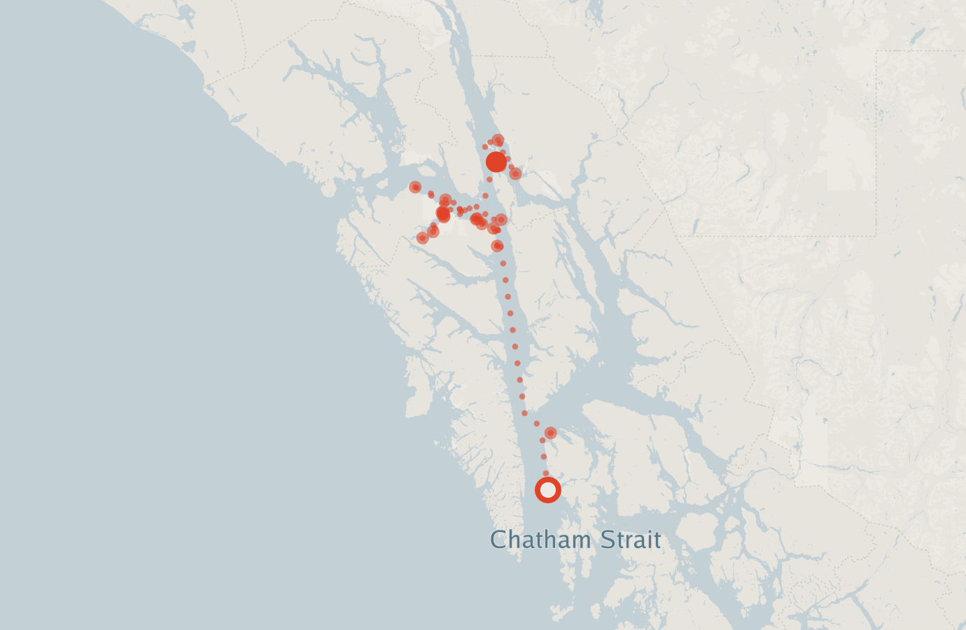 Activity map — real sighting points on an OpenStreetMap basemap