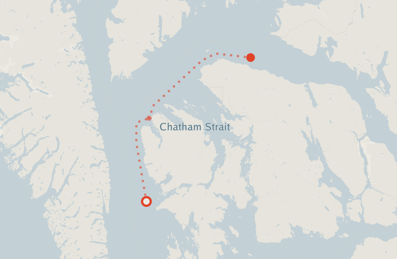 Activity map — real sighting points on an OpenStreetMap basemap