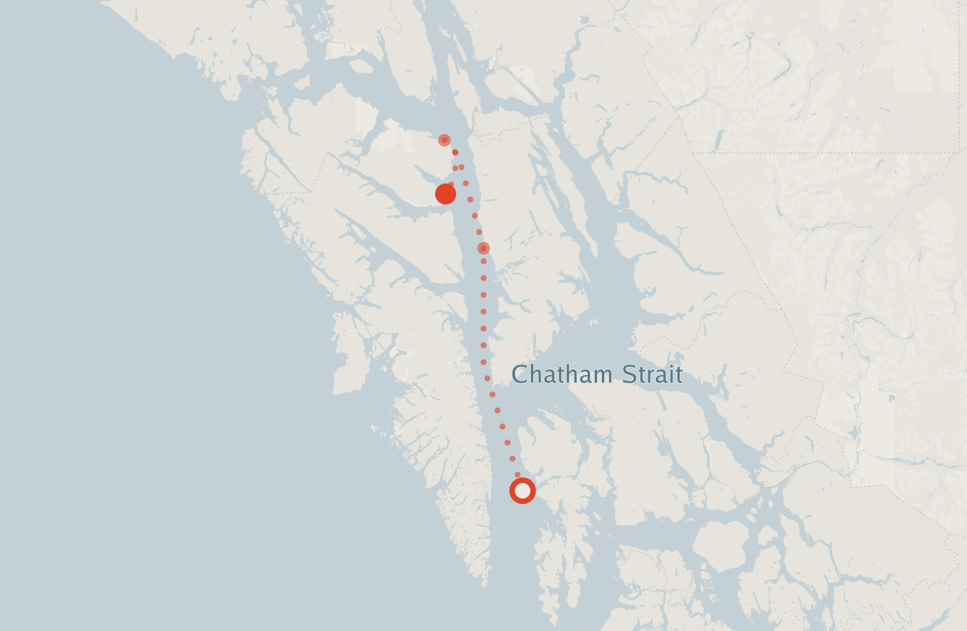 Activity map — real sighting points on an OpenStreetMap basemap