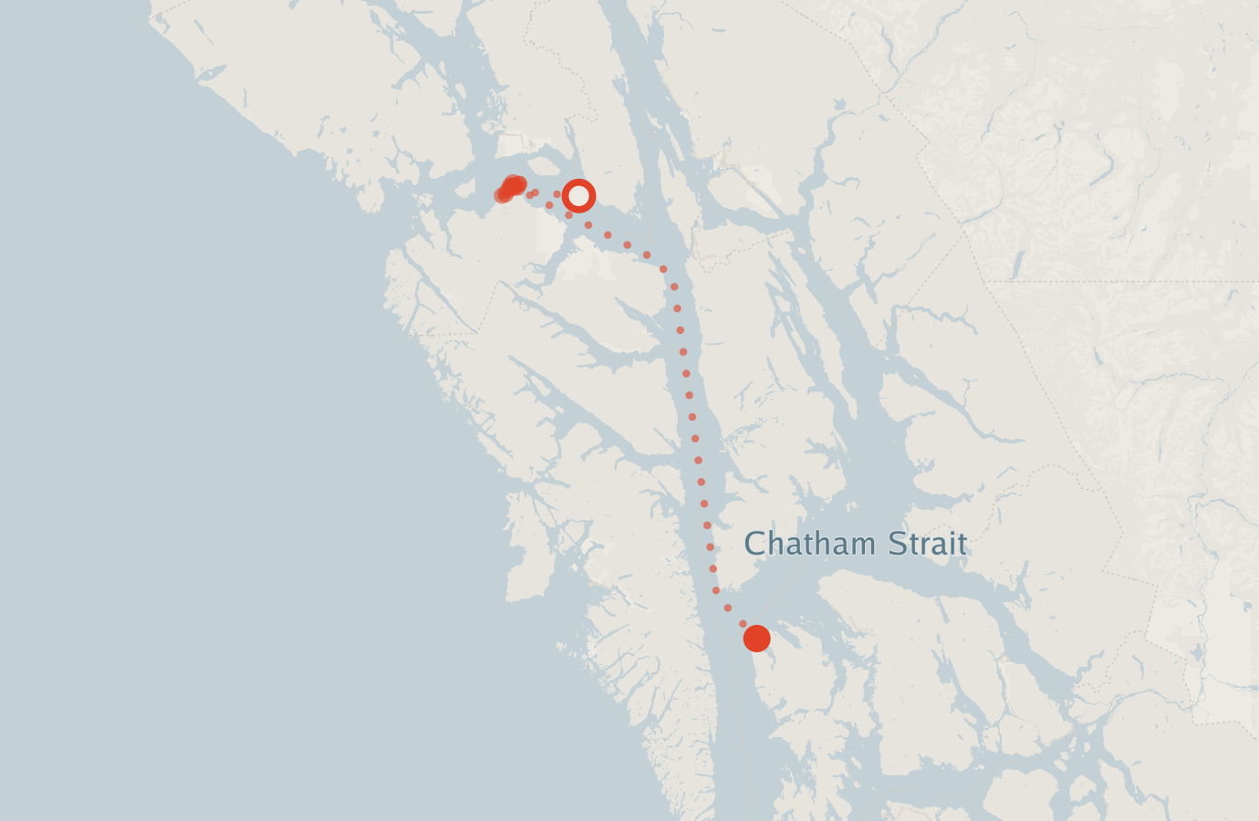 Activity map — real sighting points on an OpenStreetMap basemap