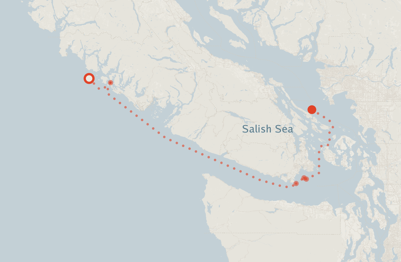 Activity map — real sighting points on an OpenStreetMap basemap