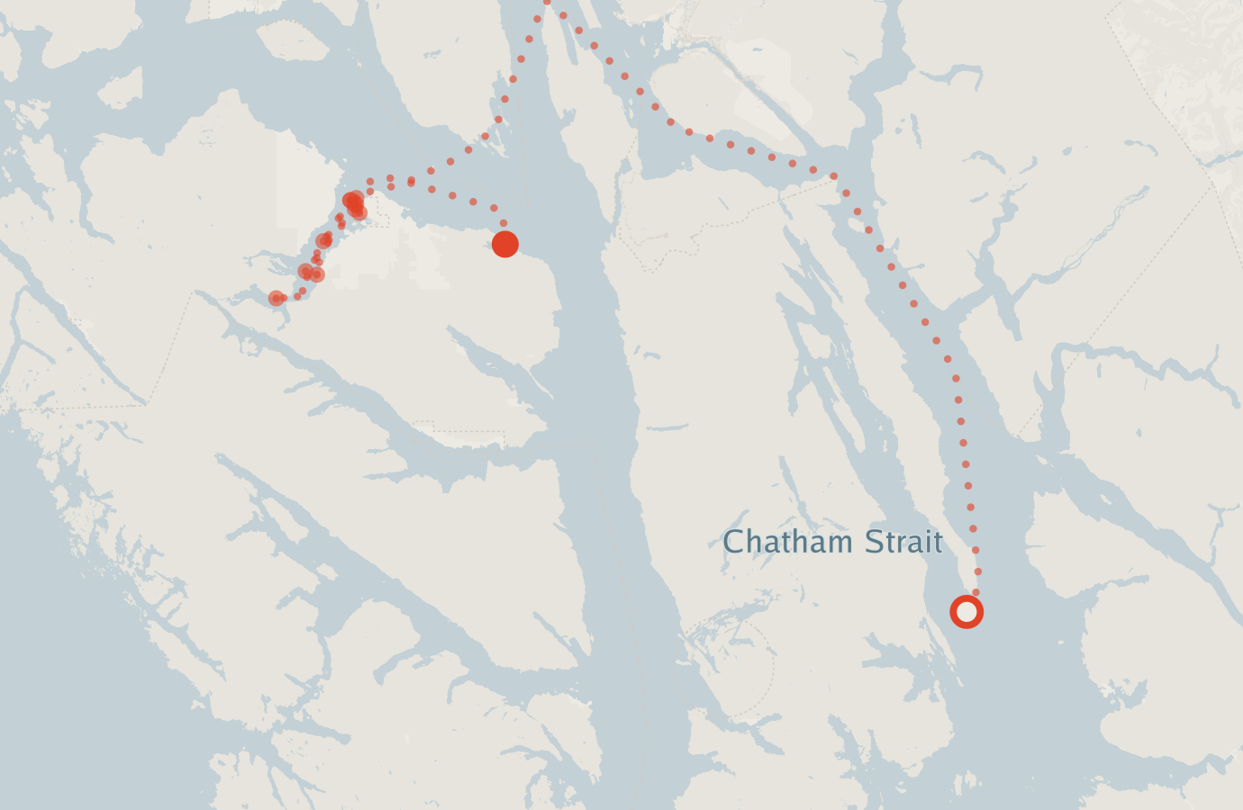 Activity map — real sighting points on an OpenStreetMap basemap