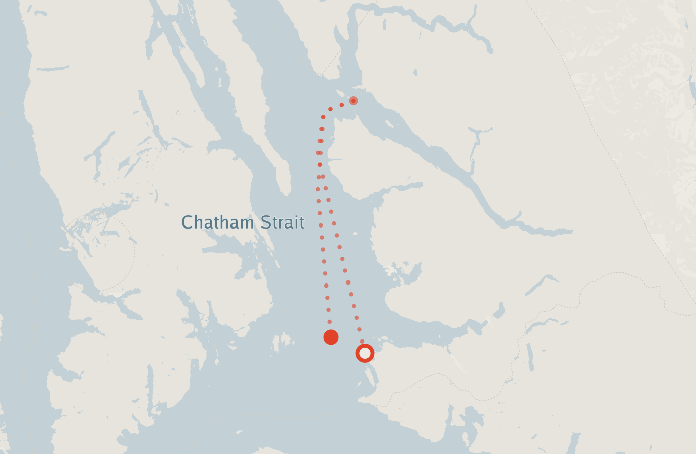 Activity map — real sighting points on an OpenStreetMap basemap