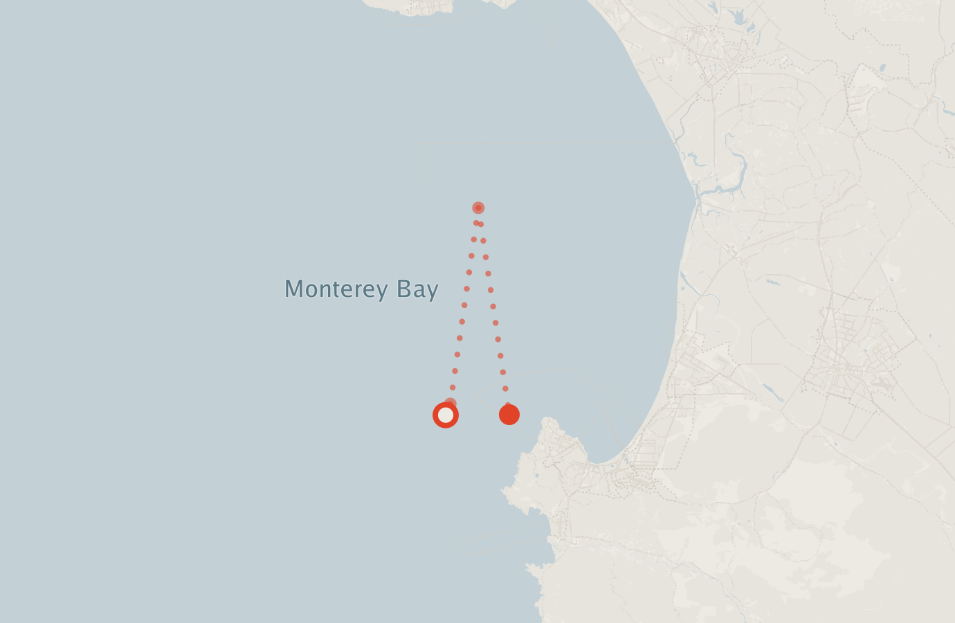 Activity map — real sighting points on an OpenStreetMap basemap