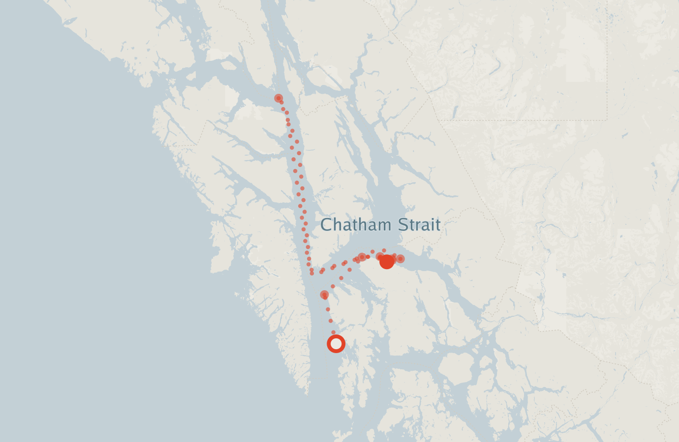 Activity map — real sighting points on an OpenStreetMap basemap