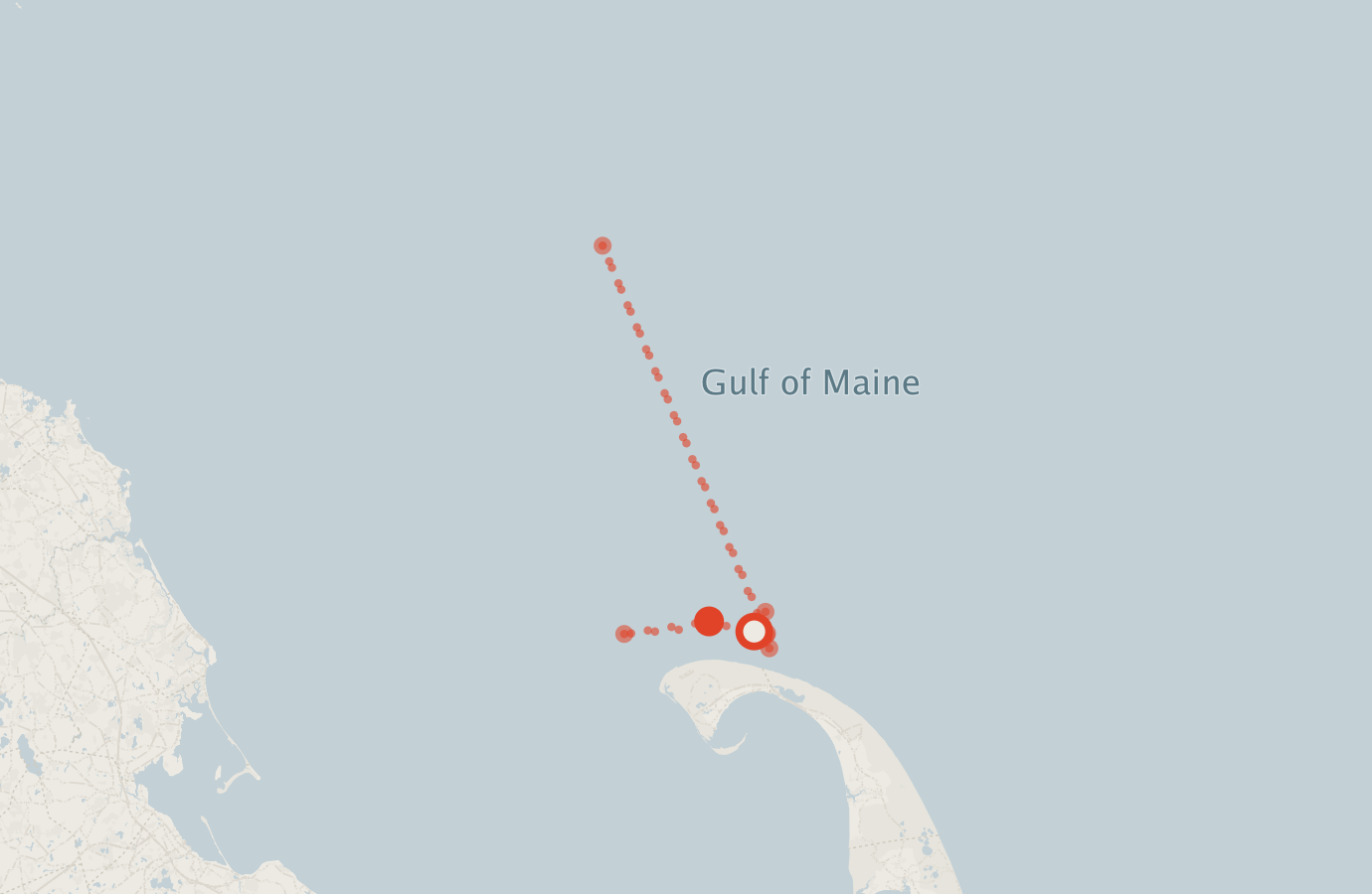 Activity map — real sighting points on an OpenStreetMap basemap