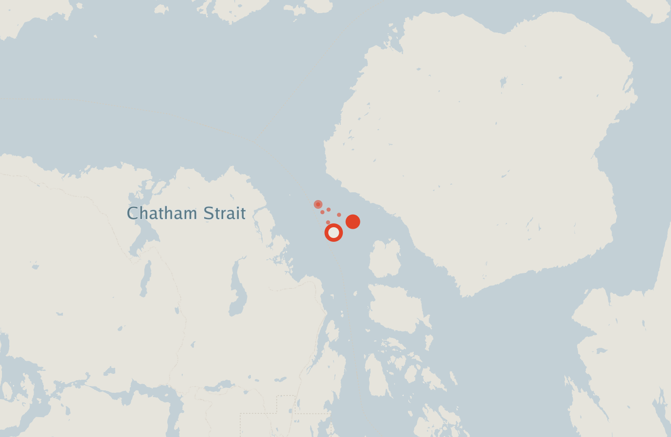 Activity map — real sighting points on an OpenStreetMap basemap