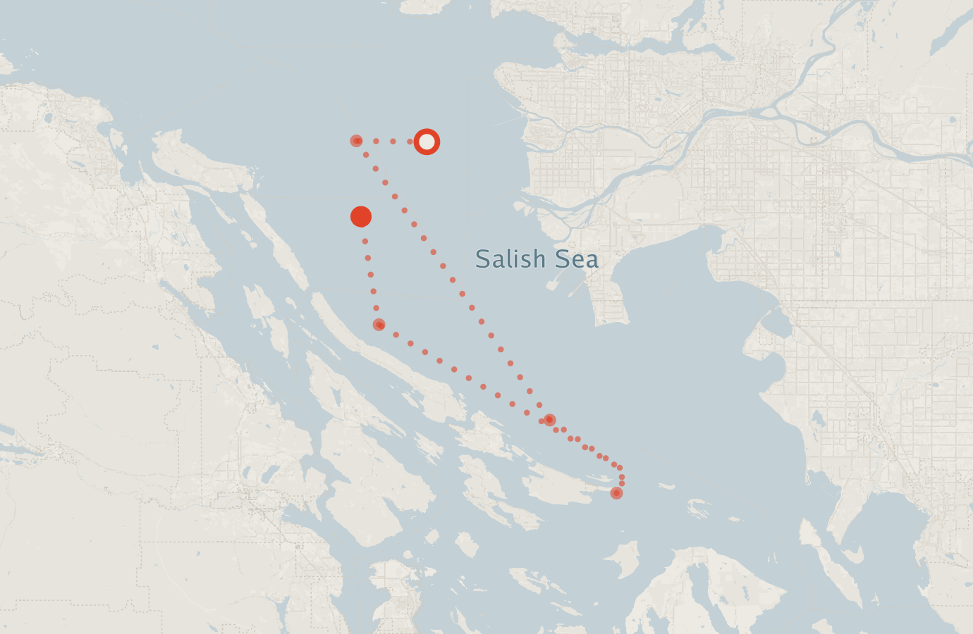 Activity map — real sighting points on an OpenStreetMap basemap