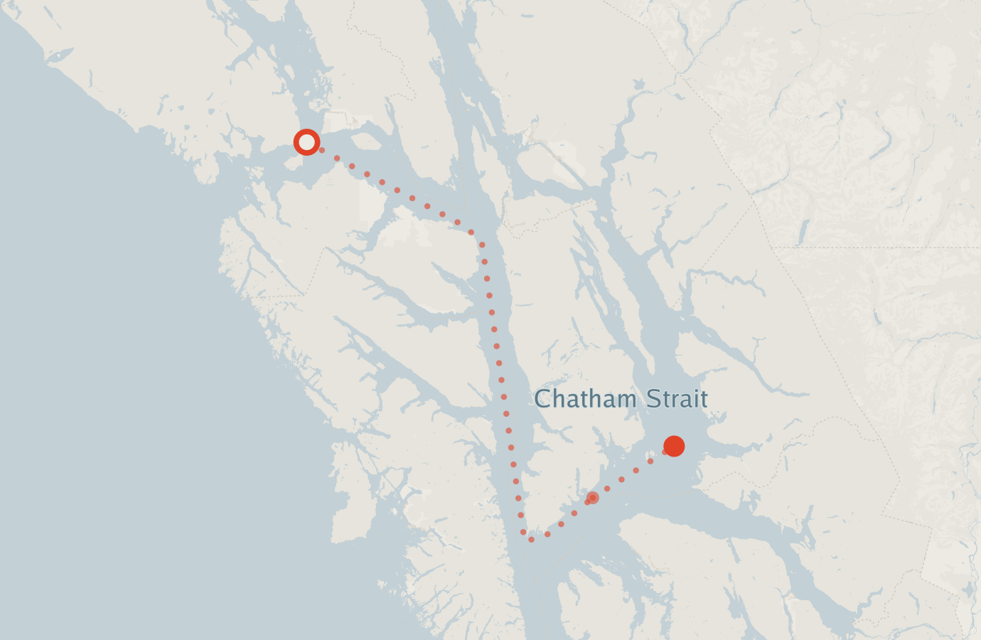 Activity map — real sighting points on an OpenStreetMap basemap