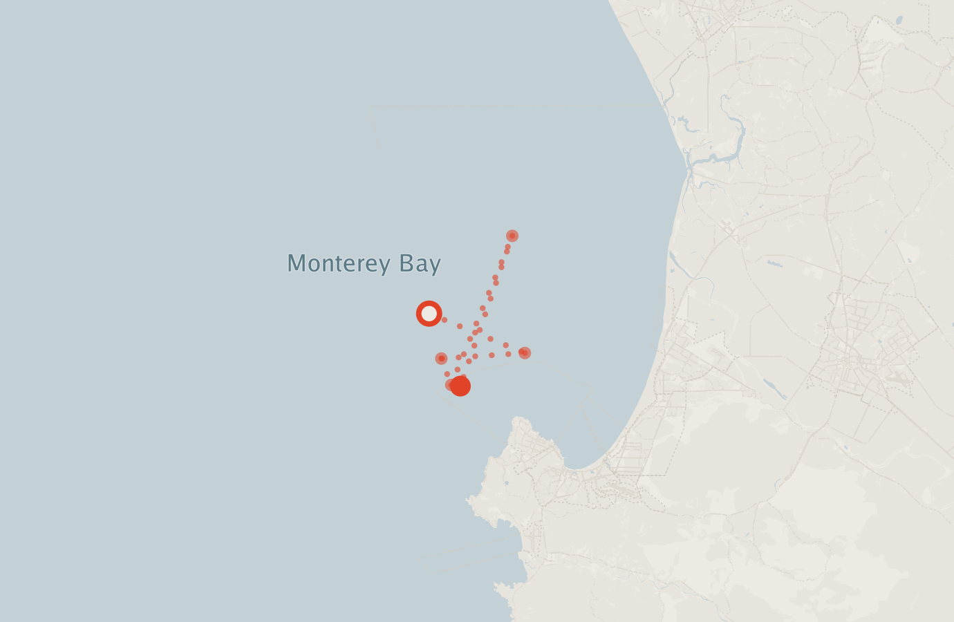Activity map — real sighting points on an OpenStreetMap basemap