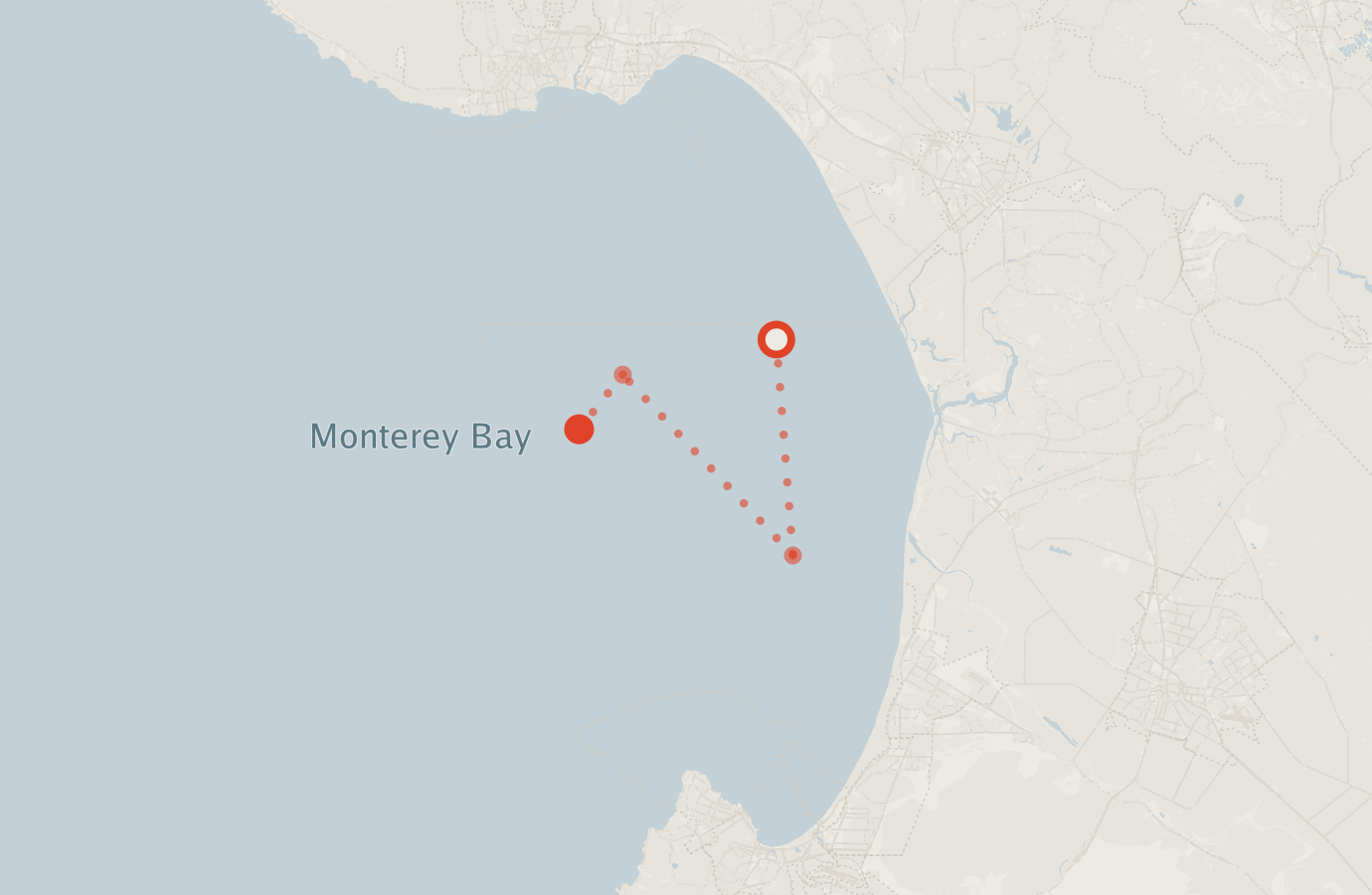 Activity map — real sighting points on an OpenStreetMap basemap